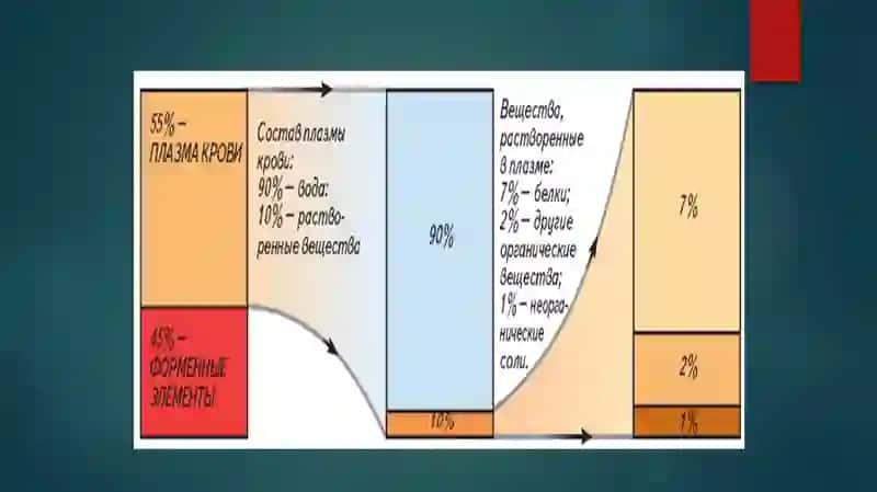 Qan bioximiyasi 4