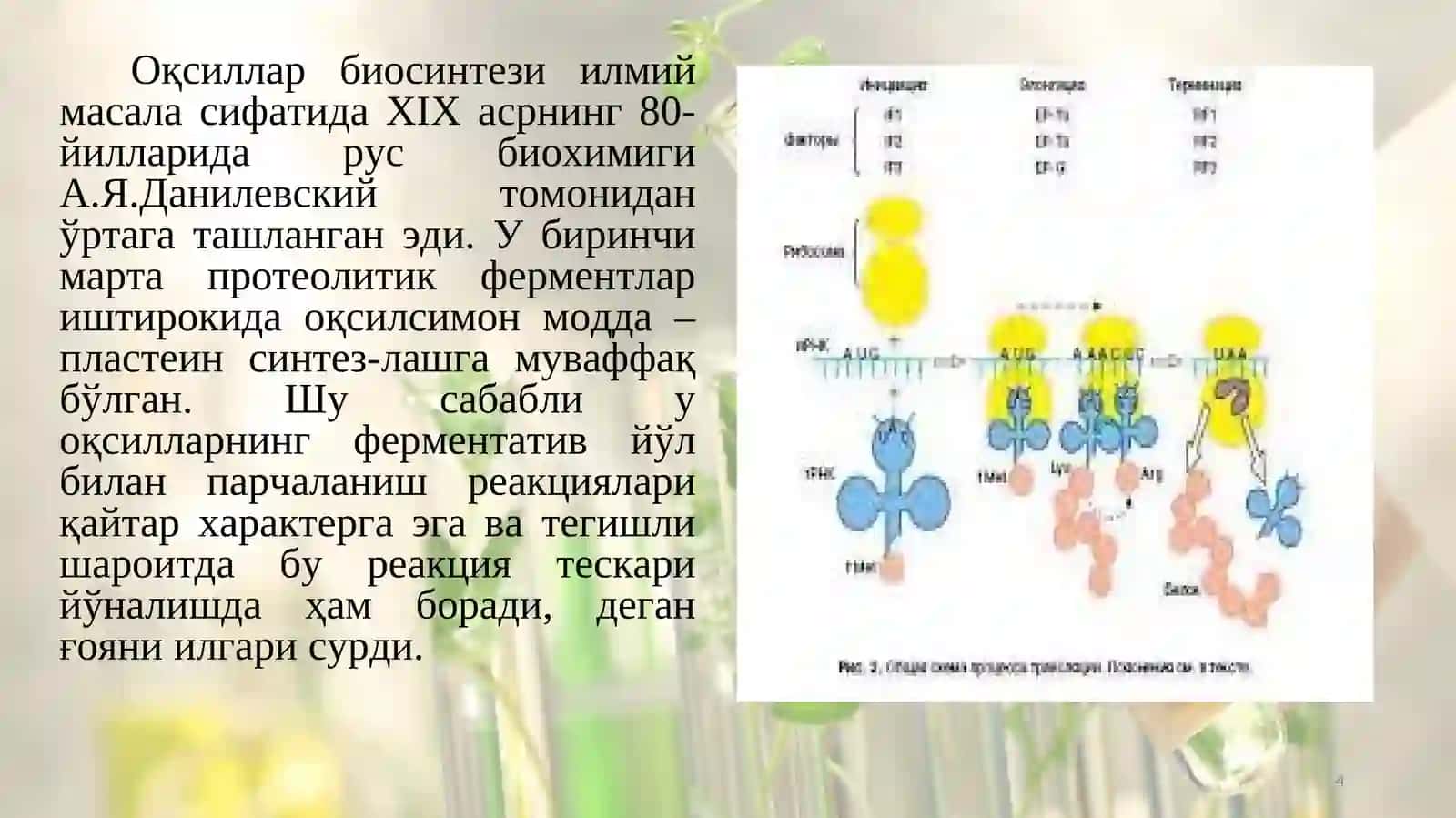 Оқсиллар синтези ва парчаланиши 4