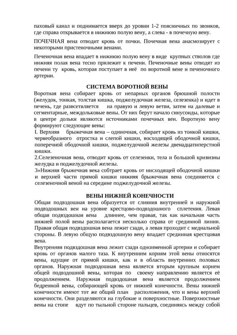 Лекция 13. «Общая анатомия венозной и лимфатической системы» 4