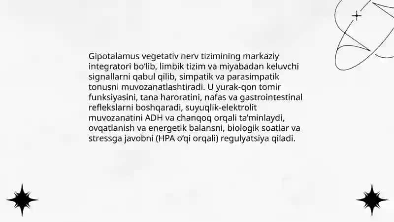 Vegitativ oliy markazlar Va ularning funksional ahamiyati 4