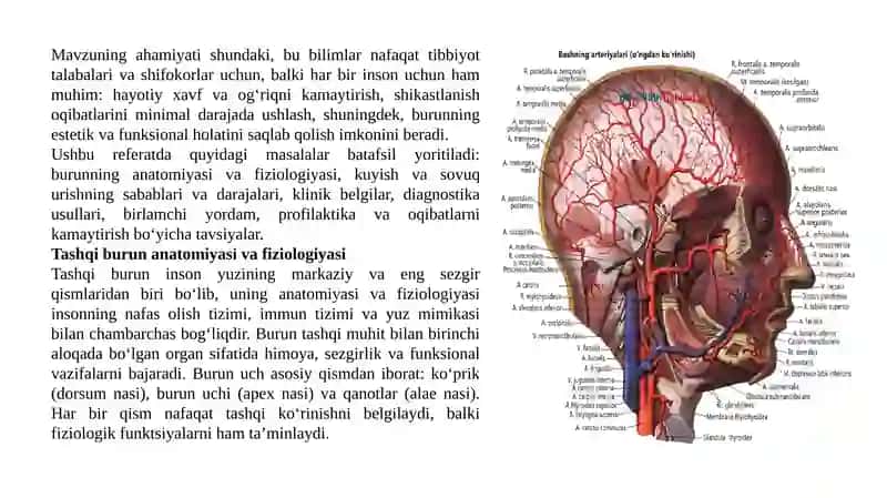 Tashqi burun kuyishi va sovuq harorat ta’sirida shikastlanish va birlamchi yordam. 4