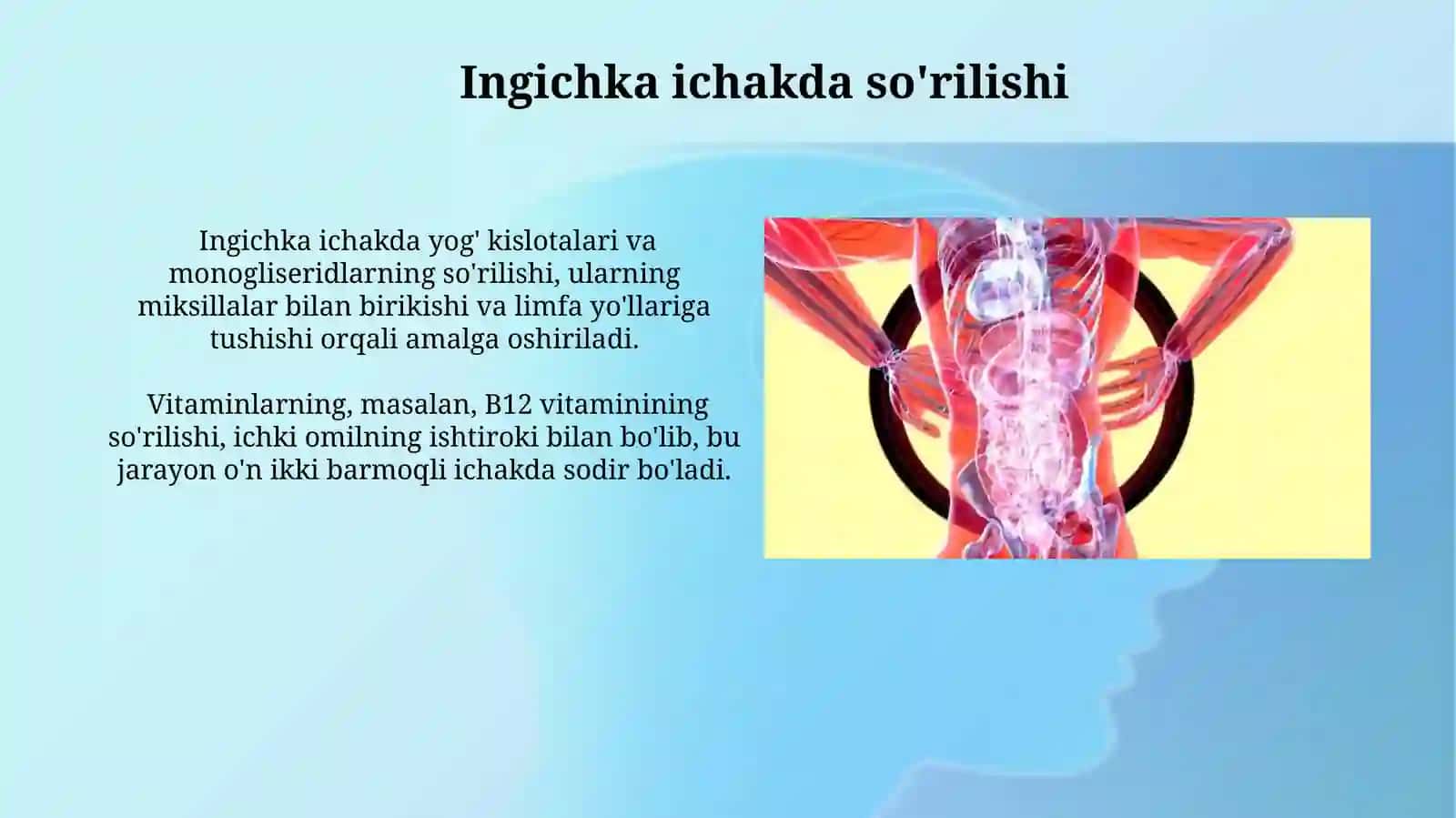 Ovqat hazm qilish sistemasi fiziologiyasi 4