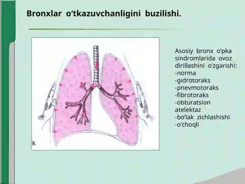 Nafas a’zolari kasalliklari bilan og'rigan bemorlarni tekshirish 4