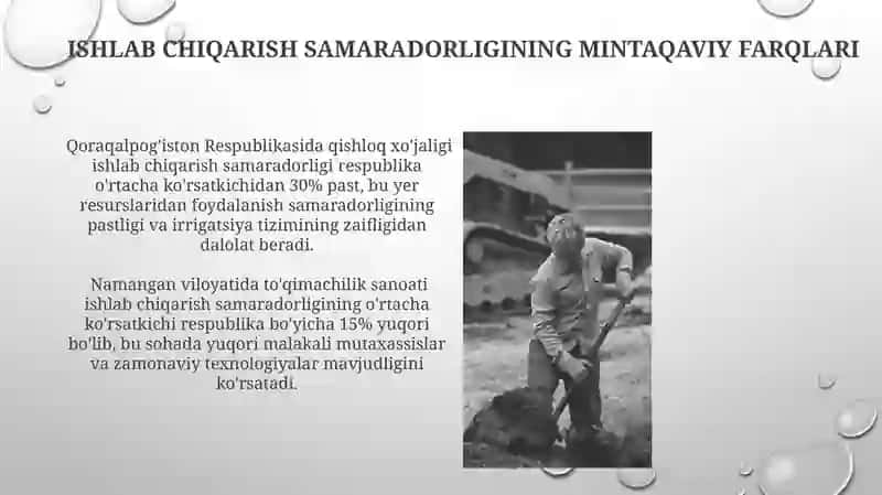 Mehnat unumdorligi - iqtisodiy oʻsish omili sifatida 4