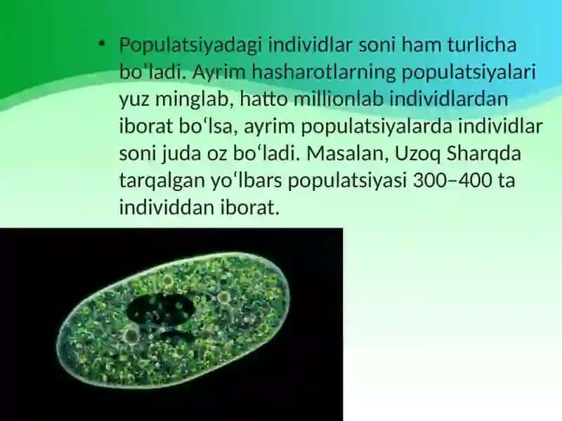 Populatsiya – turning tuzilish va evolutsiyaning boshlang‘ich birligi 4
