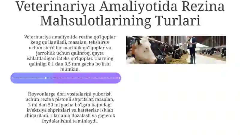 Kasal hayvonlar parvarishida ishlatiladigan zamonaviy rezina 4