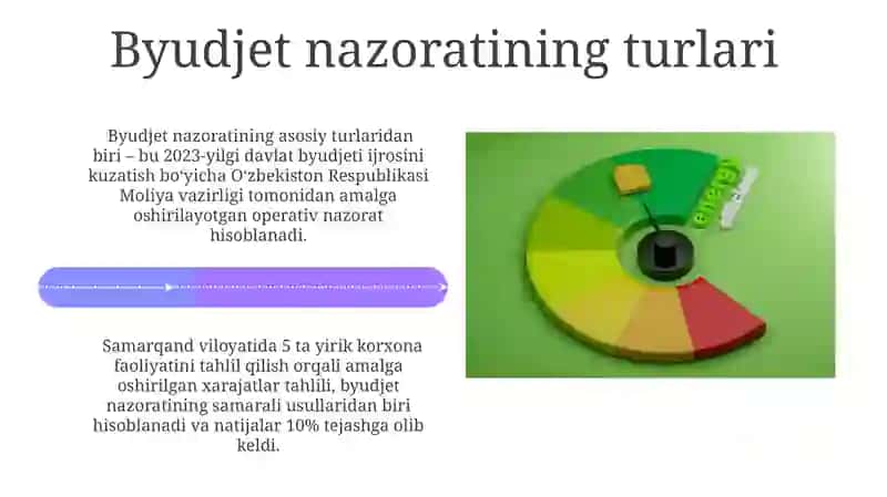 Byudjet nazoratining shakllari 4