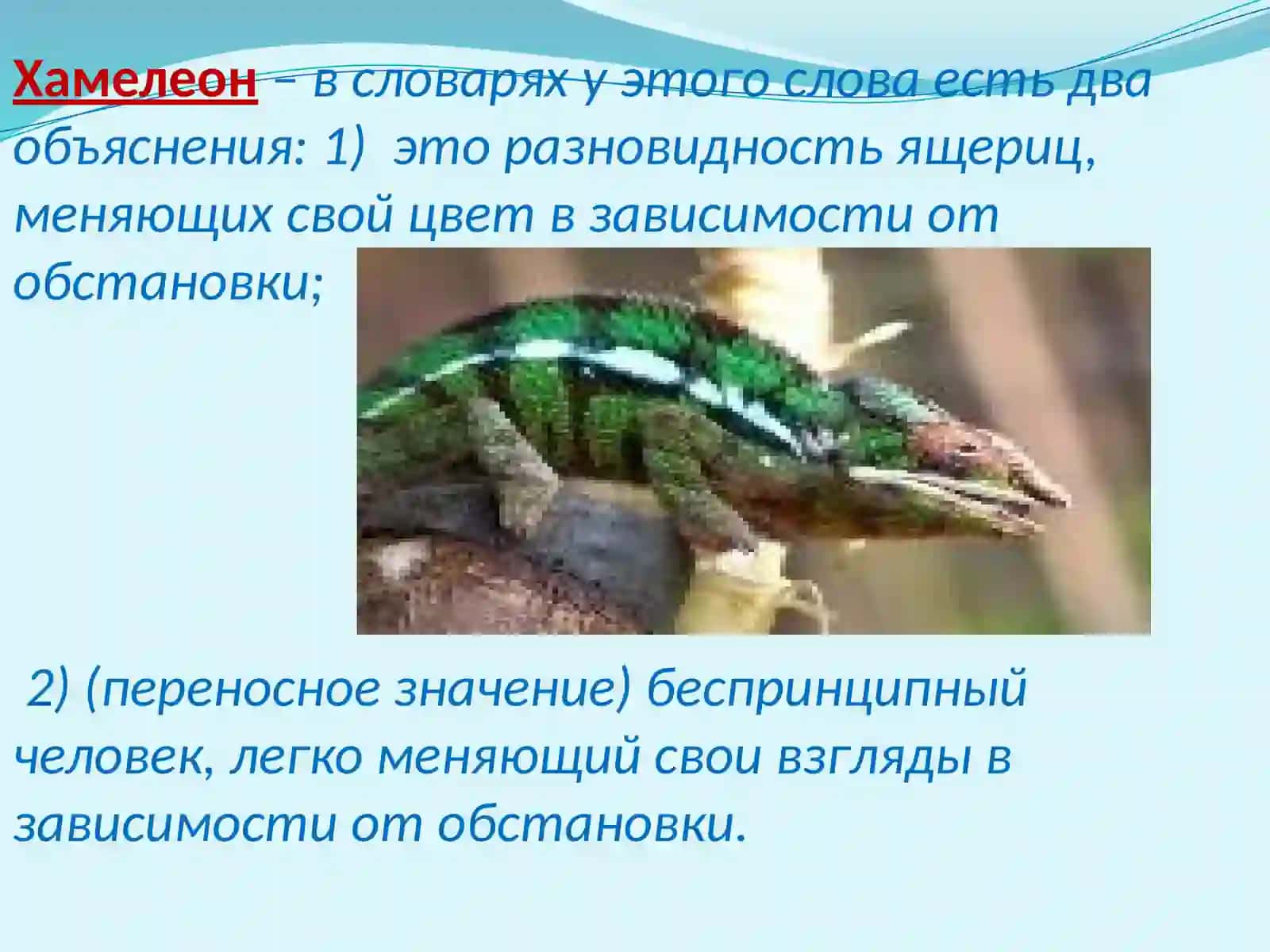 Урок по рассказу А.П.Чехова « Хамелеон» 4