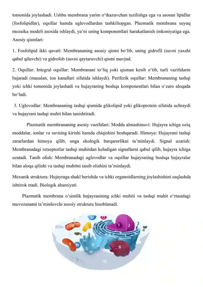Biologiya Yo'nalishi 103-guruh Talabasi 4