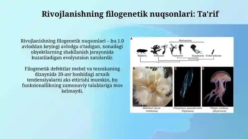 Odamda rivojlanishning filogenetik nuqsonlari 4
