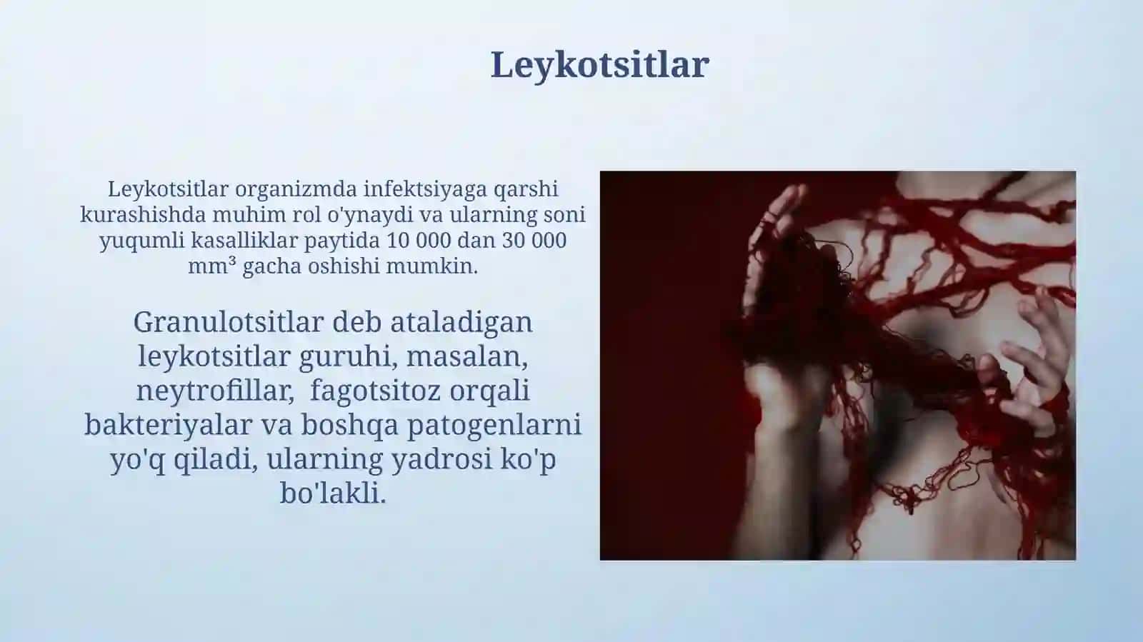 Qon Quvonchbek 4