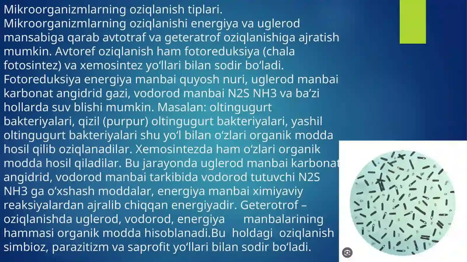 Korenobakteriya,mikobakteriyalarning qo’zg’atuvchilari va patogen spiroxetalar 4