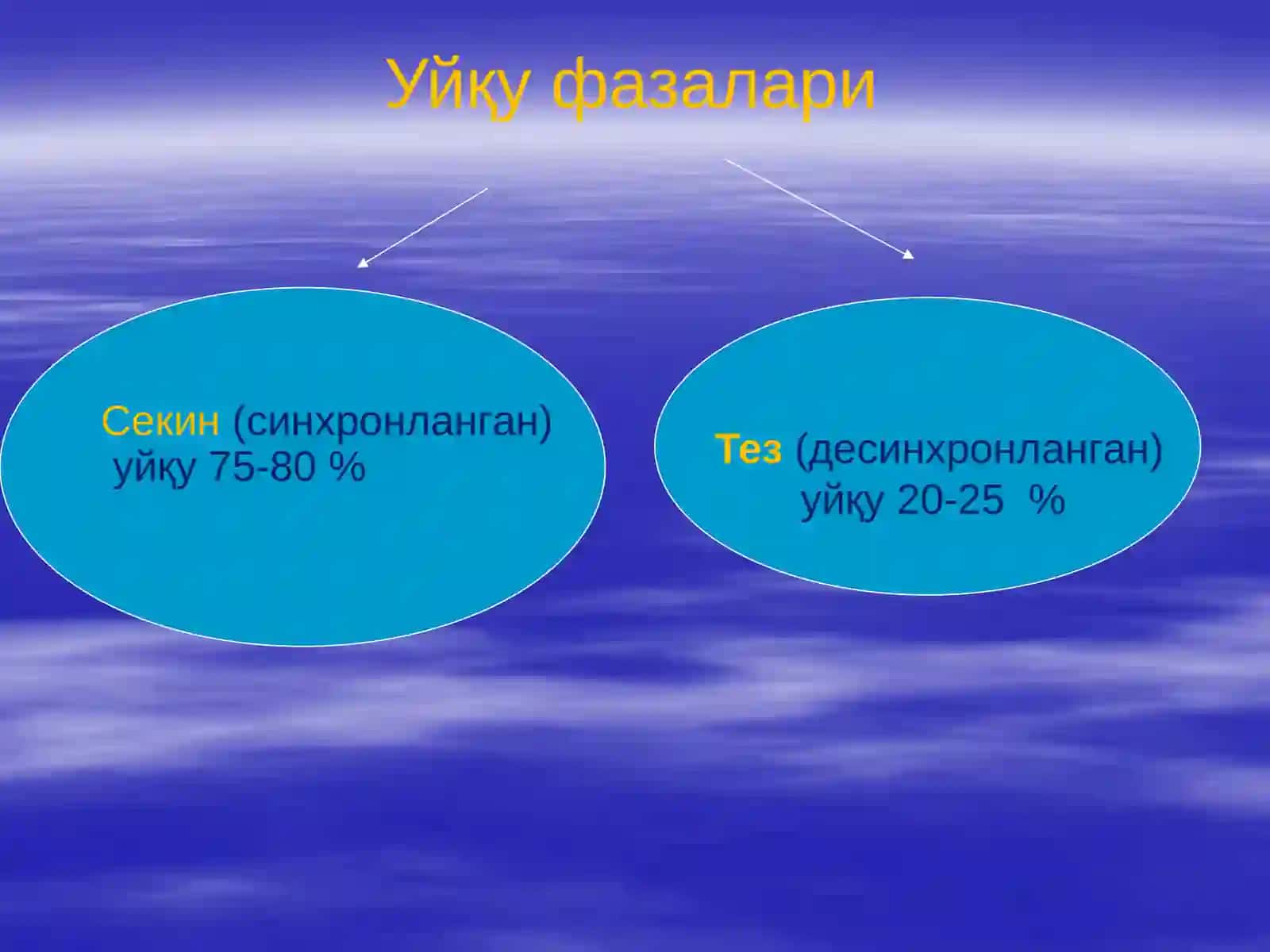 Ухлатувчи дори воситалари 4
