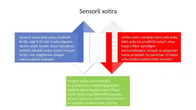 Xotira turlari 4