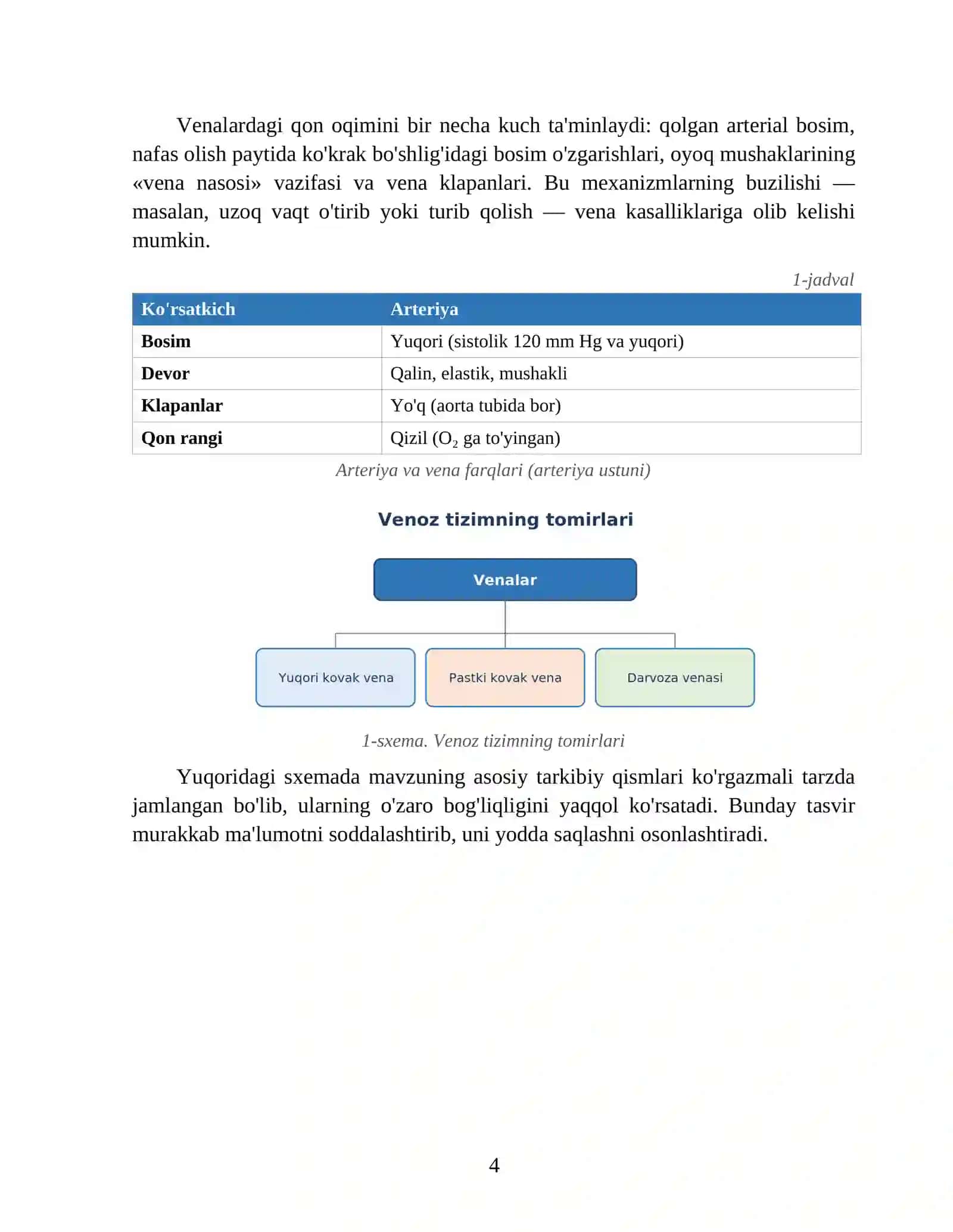 Odam anatomiyasi va fiziologiyasi 4