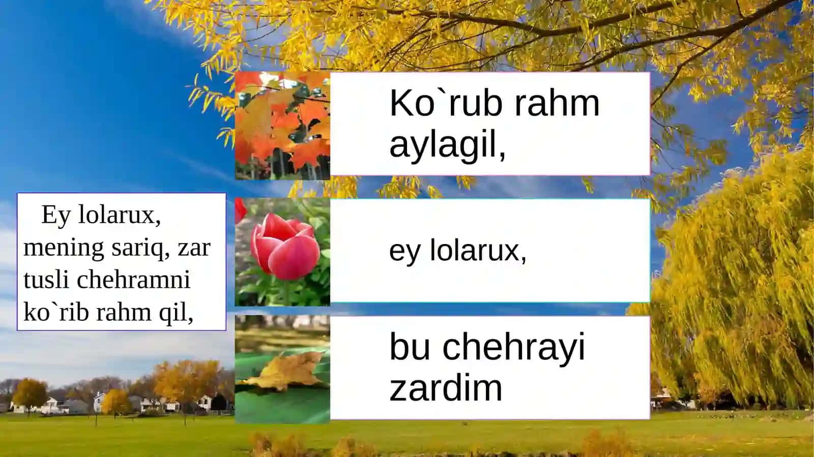 BOBURNING "XAZON YAPROG`I" G`AZALI TAHLILI 4
