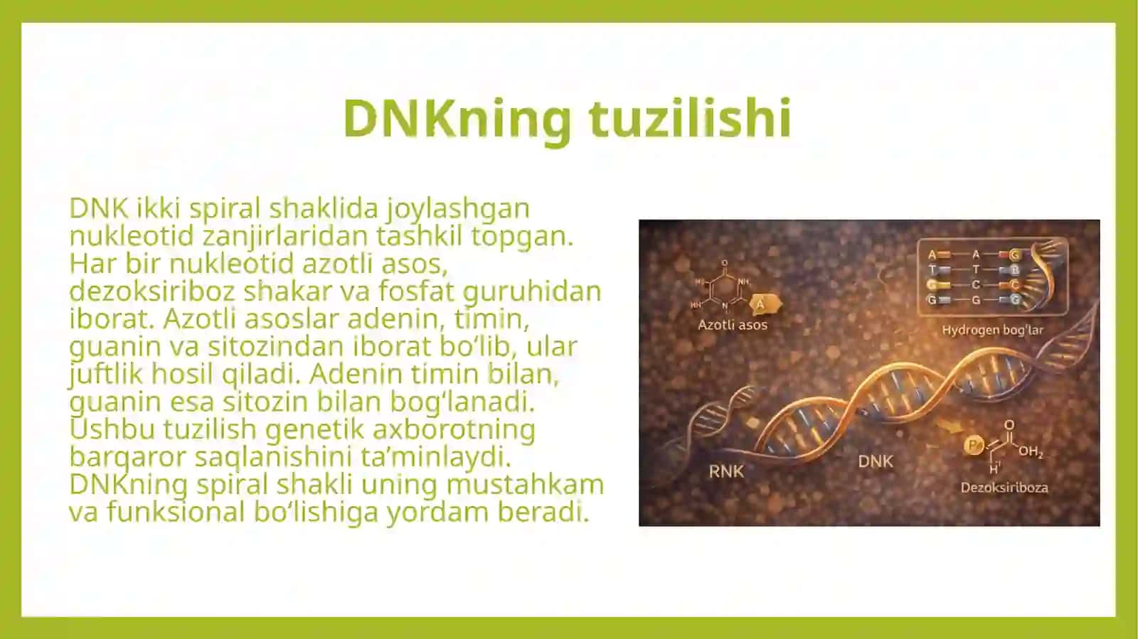 Molekulyar biologiya. Genlar ekspressiyasi DNK strukturasi replikatsiya, transkripsiya 4