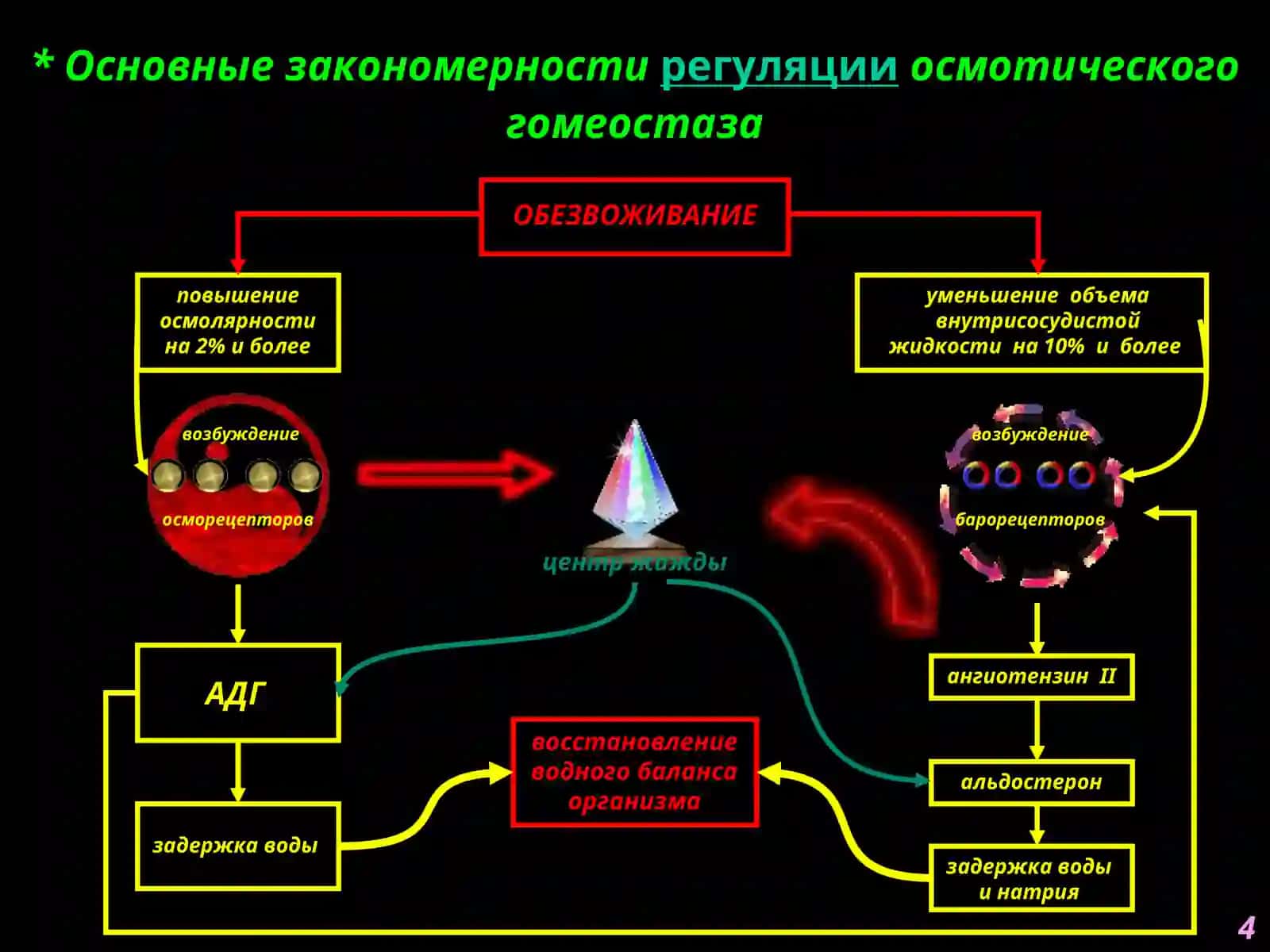 Патофизиология водно-солевого обмена 4