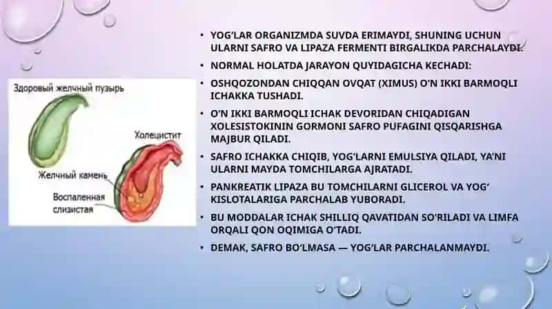 yog'lar hazmlanishi 4
