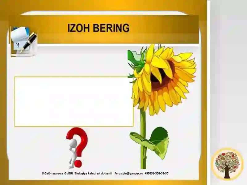 Ildiz mavzusi bo'yicha topshiriqlar 4