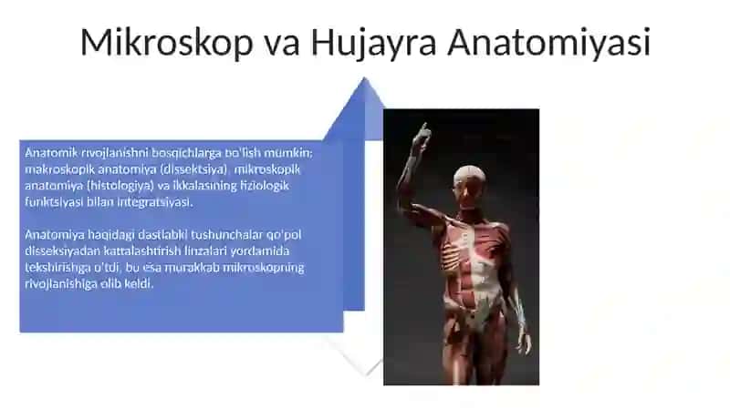 Anatomiya fanining rivojlanish tarixi 4