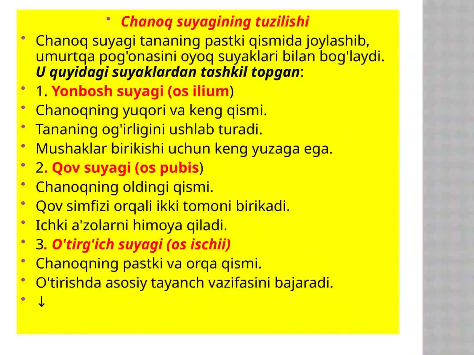 Suyaklarning yoshga qarabo'zgarishi 4