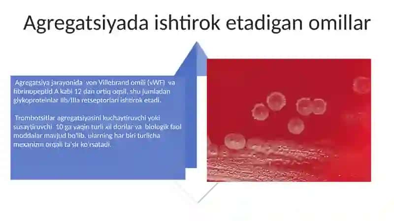 Trombotsitlar agregatsiyasi 4