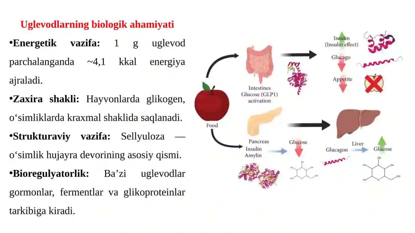 Uglevodlartuzulishi,proteoglikalar.Glikoproteinlarvaglikolipidlar 4