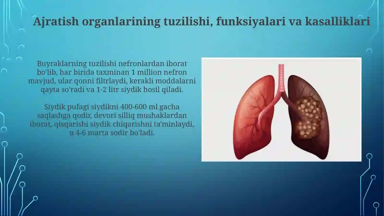 Organizmdagi ajratish jarayonlari va metabolik chiqindilar 4