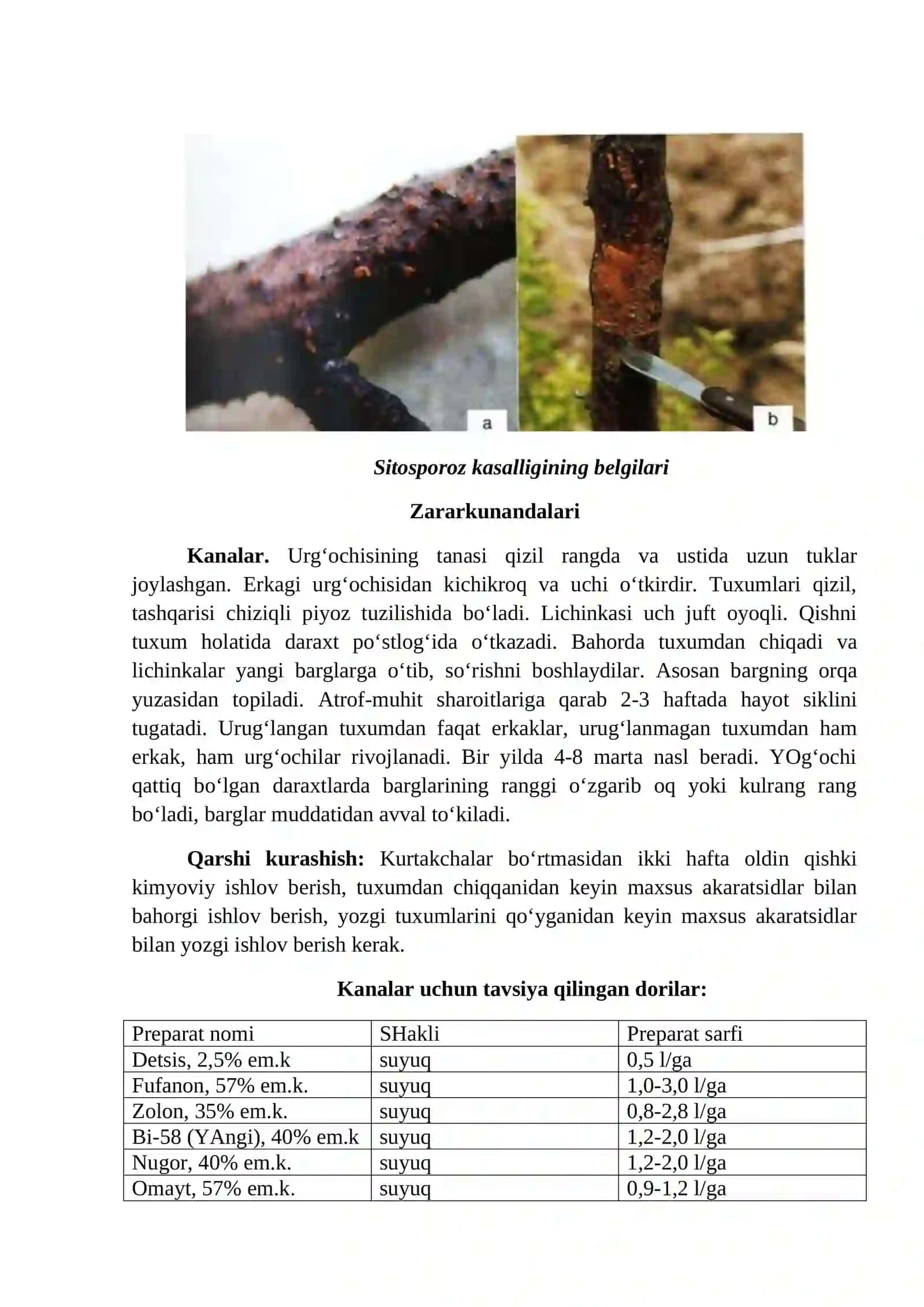 Bodom Kasalliklari Va Zararkunandalari 4