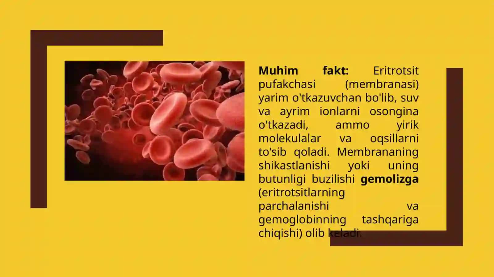 Eritrotsitlarga ta'sir etuvchi fizik va kimyoviy omillar. 4