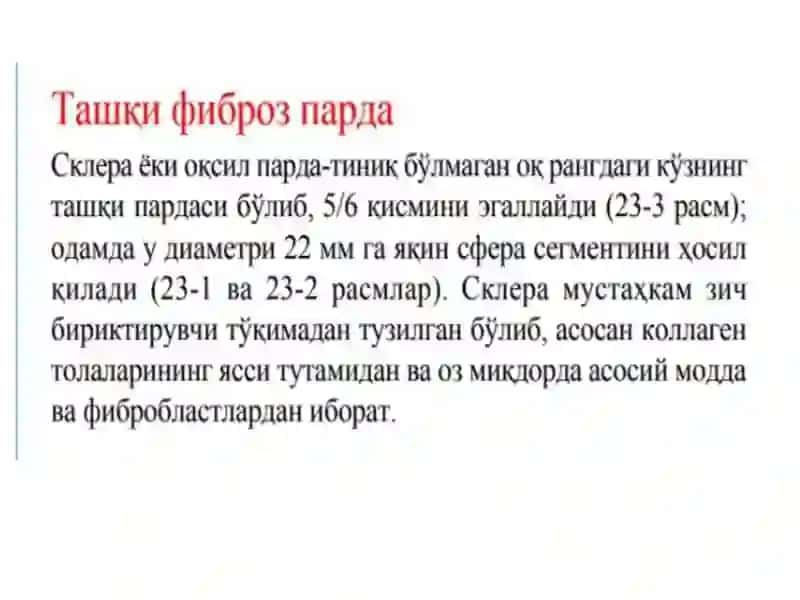 Koʻrishaʼzosi, gistologik tuzilishi 4
