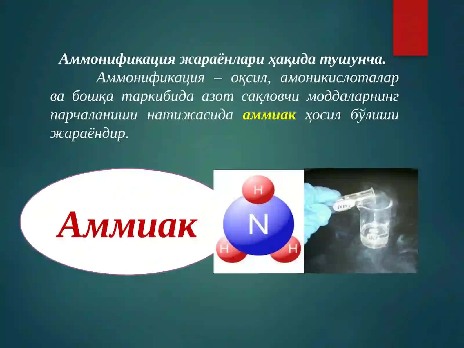 Азотни табиатда алмашинишида микроорганизмларнинг роли 4