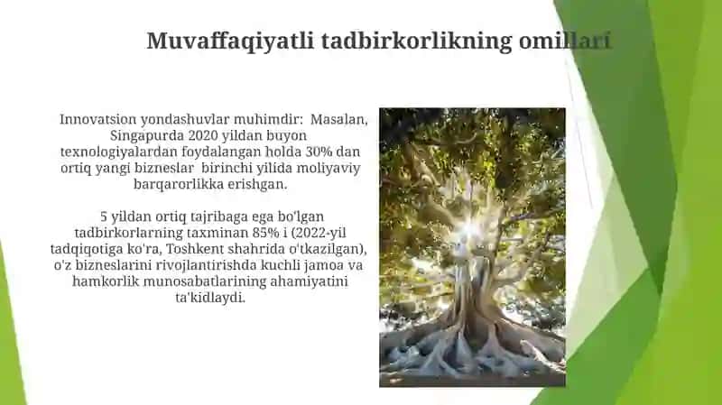 Tadbirkorlikni rivojlantirish strategiyasi 4