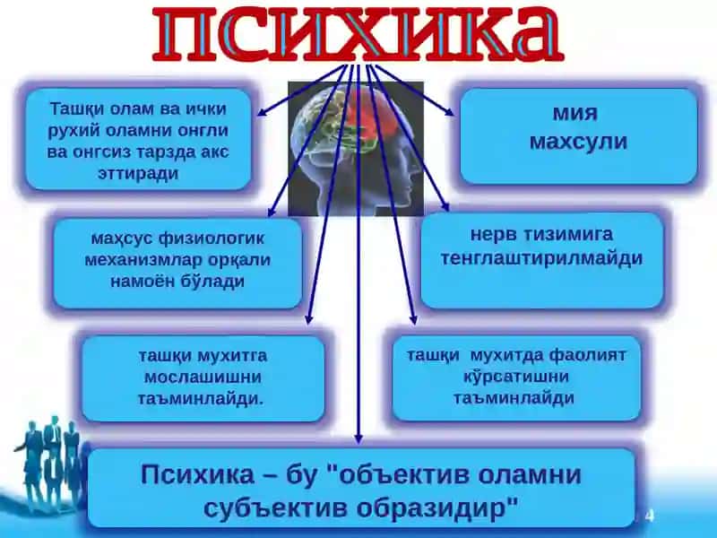 Psixologiya fanining tarixi va rivojlanish bosqichlari 4