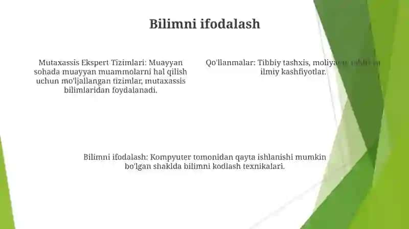 Maxsus ekspert tizimlari 4