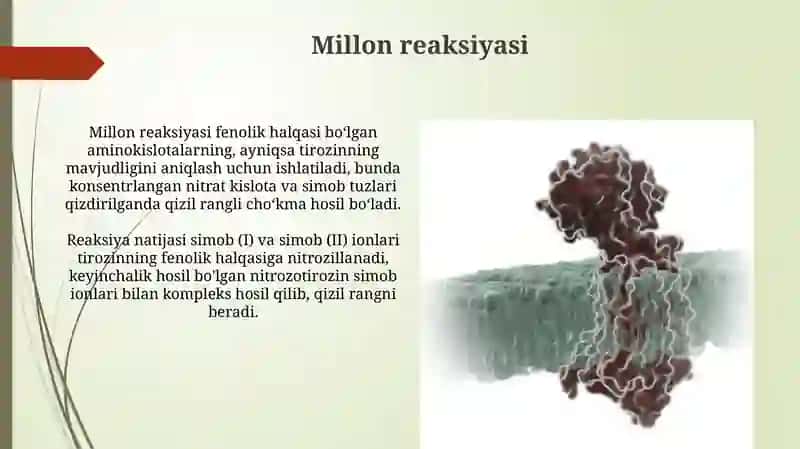 Proteinlarga xos sifat reaksiyalari 4