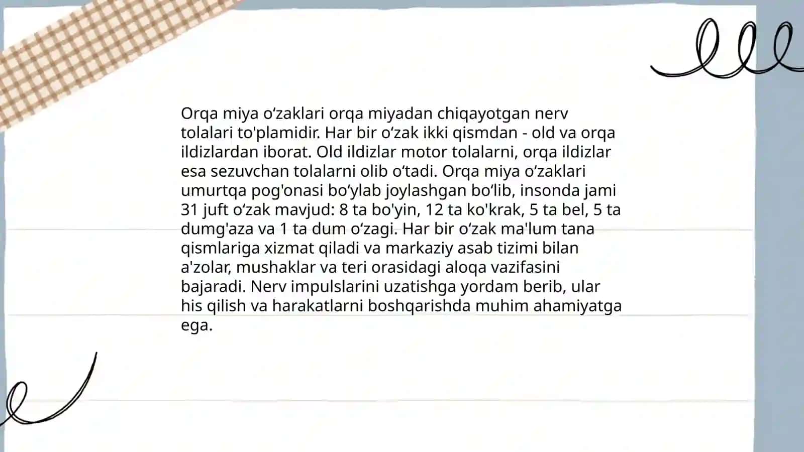 Orqa miya oʻzaklarining joylashuvi va ularning ahamiyati 4