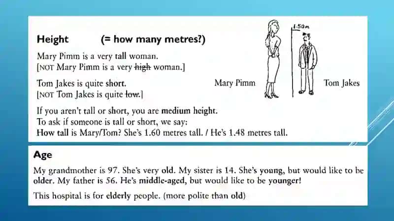 Appearance description 4