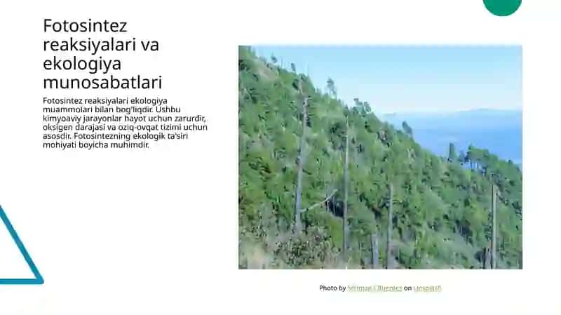 Fotasintez reaksiyalari 4