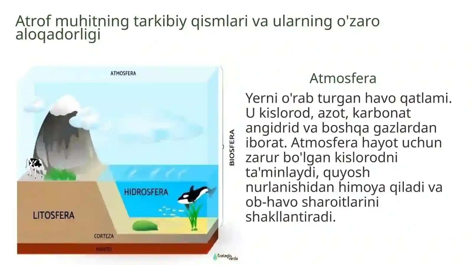 Atrof muhitni muhofaza qilishning ilmiy asoslari 4