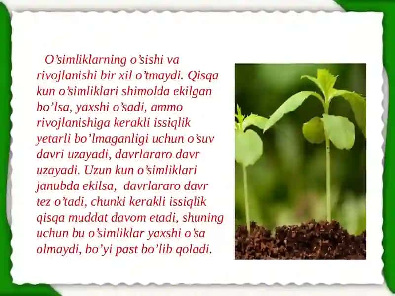 O`simlikning o`sishi, rivojlanishi, xosili va uning sifatiga ta`sir qiladigan omillar 4
