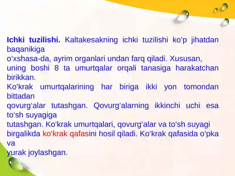 Sudralib Yuruvchilar Sinfi 4