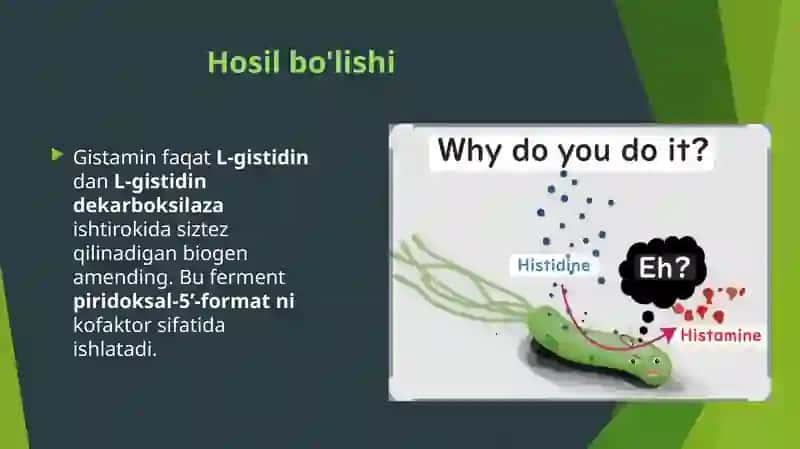 Gistamin 4