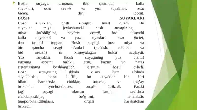 Kallasuyaginirentgenanatomiyasi 4