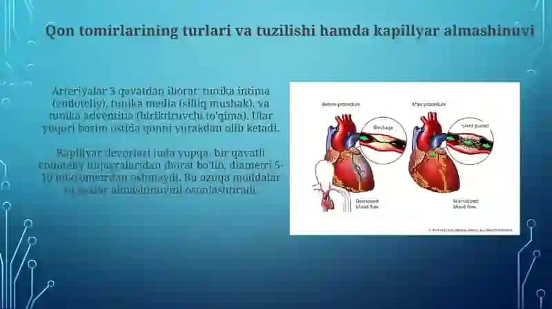 Qonning tomirlarda va kapillyarlarda oqishi. Sun’iy qon aylanish apparatining ishlash prinsipi 4