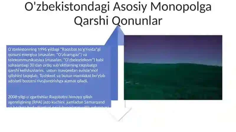 O'zbekistonda raqobatchilik muhitining vujudga kelishi va monopoliyaga qarshi qonunchilik 4