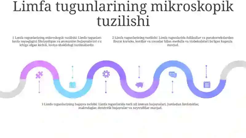 Limfa Tugunlari. Limfa Tugunlarining Tuzilishi Va Hujayraviy Tarkibi 4