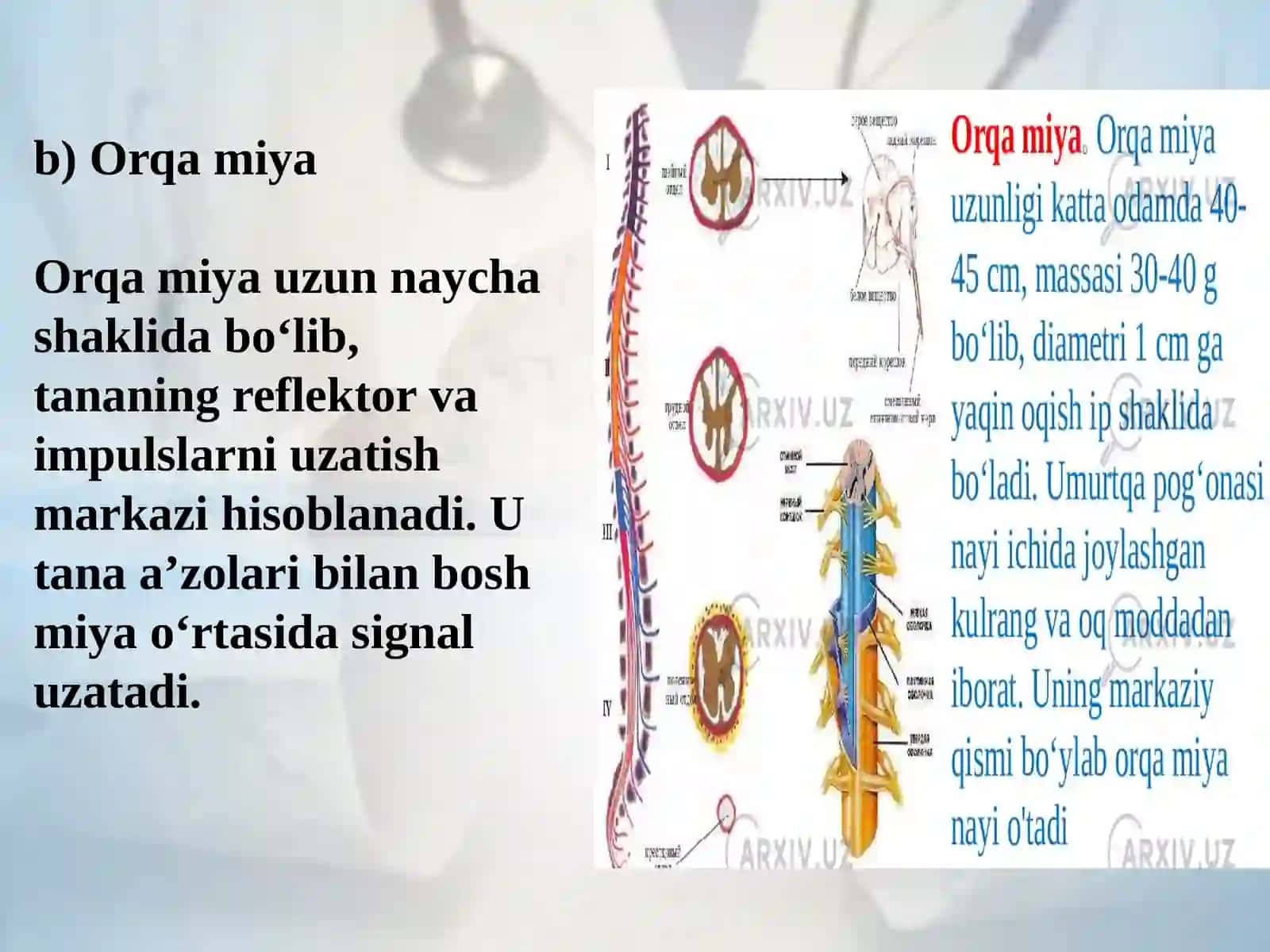 Markaziy asab tizimiga taʼsir qiluvchi vositalar 4