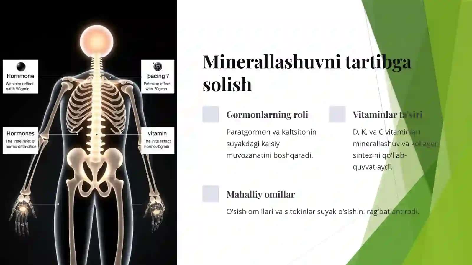 Suyak to'qimalarining minerallashuvi, tartibga solinishi va buzilishlari 4